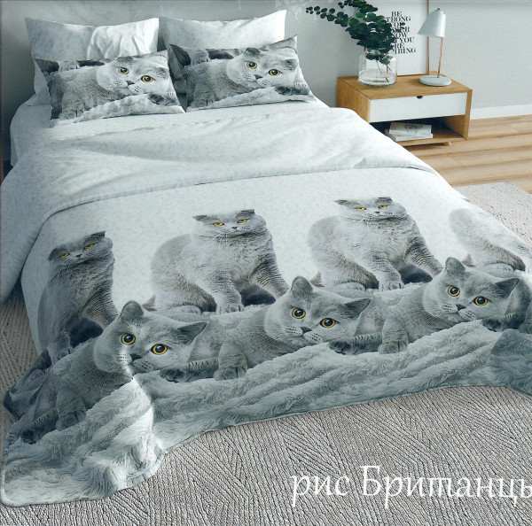 Купить КПБ Бязь 3D Британцы на Неженке